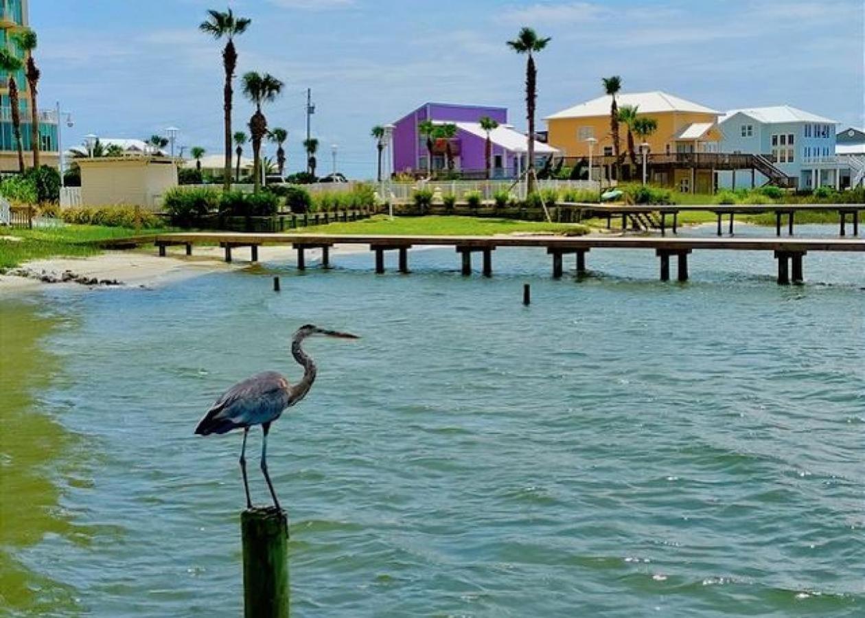 Summer House West B103 Gulf Shores Kültér fotó